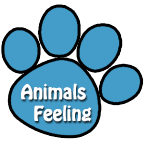Animal's Feeling logo